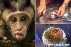 中國十大禁菜，油潑猴頭不忍直視