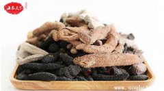 干海參蛋白質含量是牛肉三倍多，蛋白質含量最高的食物卻挑人
