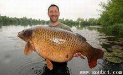 大魚本森，世界上最大的鯉魚