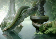 沃那比蛇和泰坦誰大，沃那比蛇吃恐龍