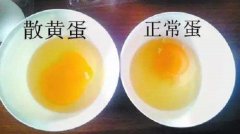 雞蛋黃散開了還能吃嗎，雞蛋黃怎么熬出油