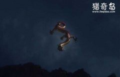 龍是否真的存在，中國不敢公開發現龍的原因