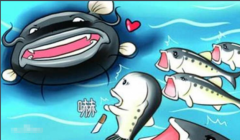 鯰魚效應是指的什么意思 三點啟示 小故事