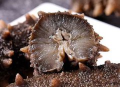 海參斑魚多少錢一斤