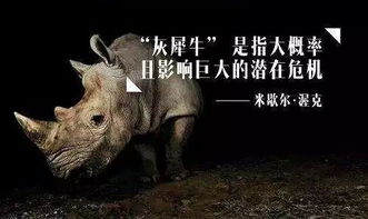 清道夫比喻什么樣的人