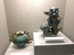 蜥蜴認主人嗎