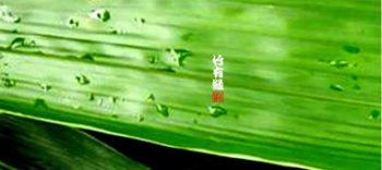 歐洲有竹子嗎