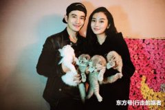 黃曉明和baby是因為什么離的婚