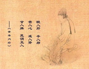 黃帝外經是講什么的