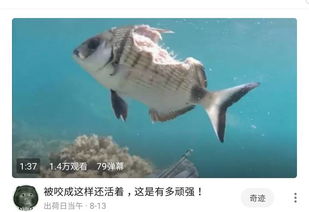 腔棘魚現在還活著嗎