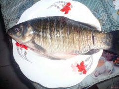 鰲魚是什么魚
