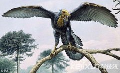 始祖鳥滅絕了嗎