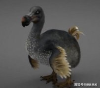 渡渡鳥滅絕的原因