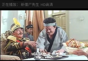 大帥請林正英看風水是什么電影