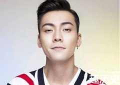 陳偉霆哪里人