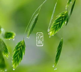谷雨是春天還是夏天