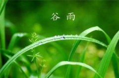谷雨是幾月幾號