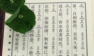 凈土五經一論都是什么