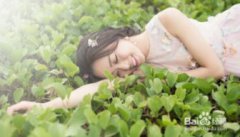 如何學習攝影