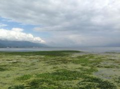 環洱海一圈多少公里