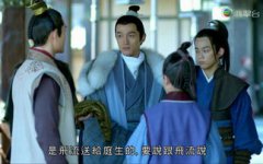 瑯琊榜中庭生是誰的孩子