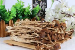 茶樹菇怎么泡