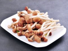 茶樹菇是發物嗎