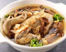 茶樹菇可以燉雞嗎