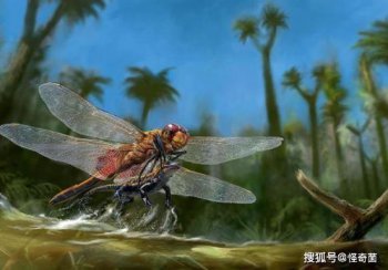 地球演變的五個時代，各時期代表性動植物和對應圖片