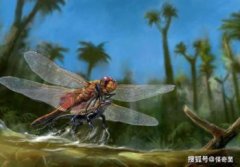 地球演變的五個時代，各時期代表性動植物和對應圖片