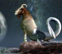 摩羯是什么動物，上身是山羊，下身卻是魚尾