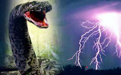 1995年安徽巨蟒渡劫事件，一道閃電撕開夜空蟒蛇精化龍失敗