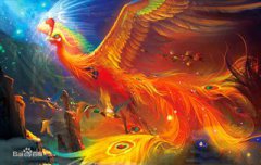 鳳凰鳥真實照片揭秘，鳳凰死后會全身燃燒起巨大的火焰