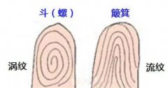 手上羅和簸箕代表什么