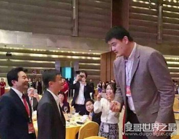 馬云身高只有153cm，馬云姚明同框完美呈現最萌身高差