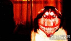 smile dog微笑狗為什么嚇人，明白恐怖原理后再也不怕了