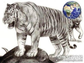 800公斤史上最大的老虎，史前東北遠東巨虎已滅絕