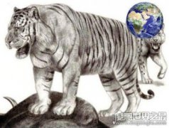 800公斤史上最大的老虎，史前東北遠東巨虎已滅絕