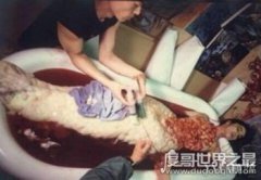 日本人活吃美人魚？只是人為編撰出來的圖片