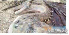 2016暴雨后出現龍吃人，村民難以置信被嚇傻了