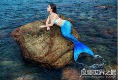美人魚是什么動物，哺乳動物還是兩棲動物