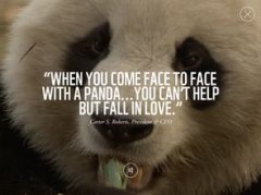 wwf是什么組織，是世界自然基金會