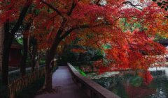 三國建業是現在哪里，南京市古稱金陵、建康