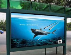 保護海洋生物的宣傳語，保持海洋潔凈，保持地球平衡