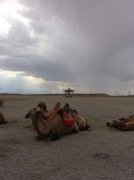 古代西域是現在哪里，狹義玉門關、陽關以蔥嶺即今帕米爾以東