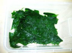 水晶蝦吃什么，主要吃素例如苔蘚、水藻、水草