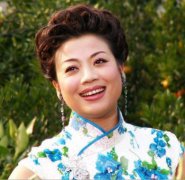 歌唱家張也犯了什么罪，歌唱家張也沒犯罪