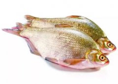 武昌魚和鳊魚的區別，武昌魚魚嘴很寬而鳊魚的嘴比較圓