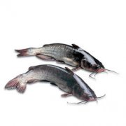 清江魚多少錢一斤，價格一般在20～40元斤