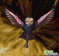 玄鳥是什么鳥，是神話中的鳥類